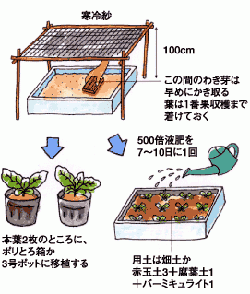 野菜をつくろう アグリス Jaあいち知多