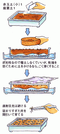 花を咲かそう アグリス Jaあいち知多