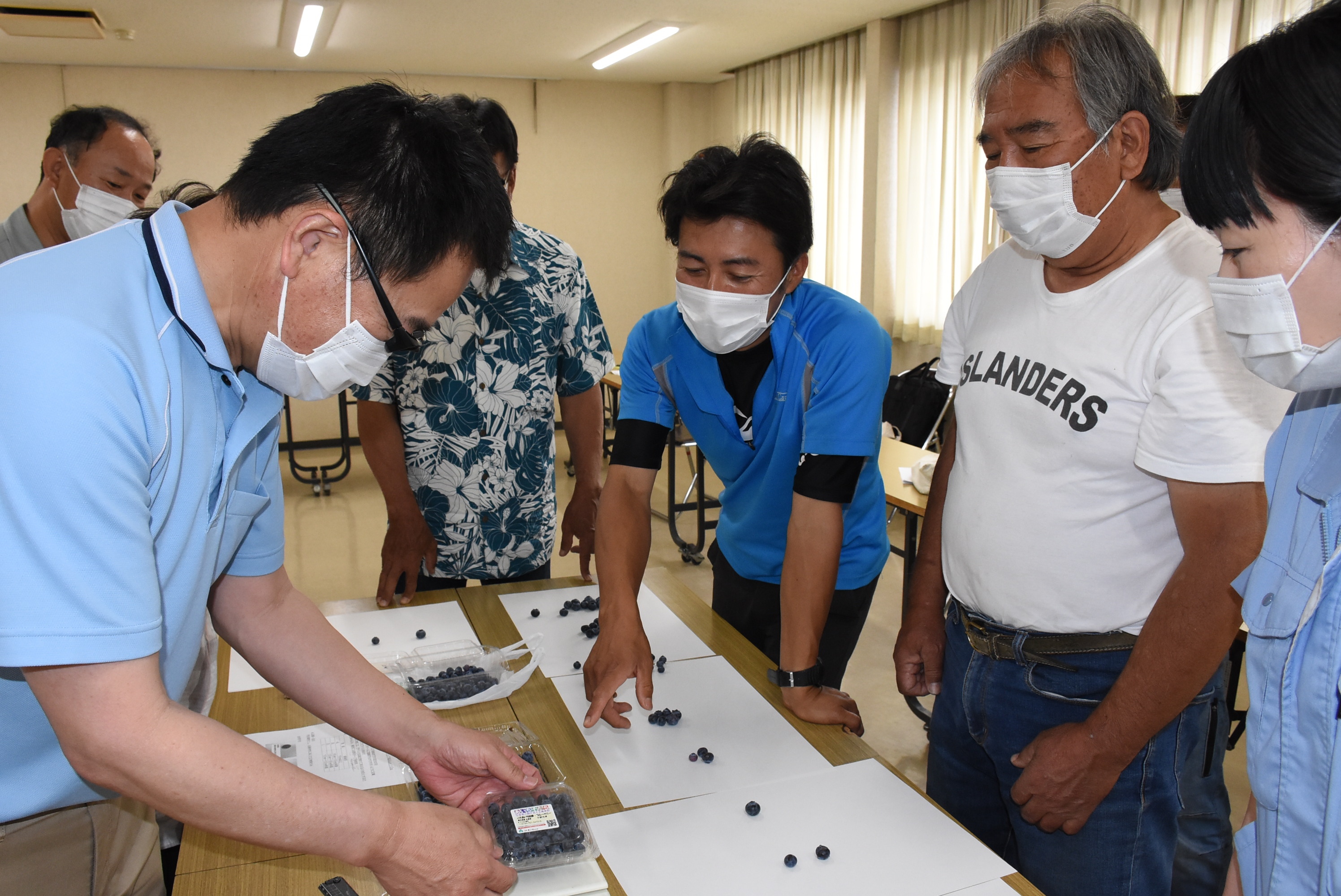 ブルーベリー本格出荷前に規格を確認 ブルーベリー目ぞろえ会 ほっとニュース アグリス Jaあいち知多