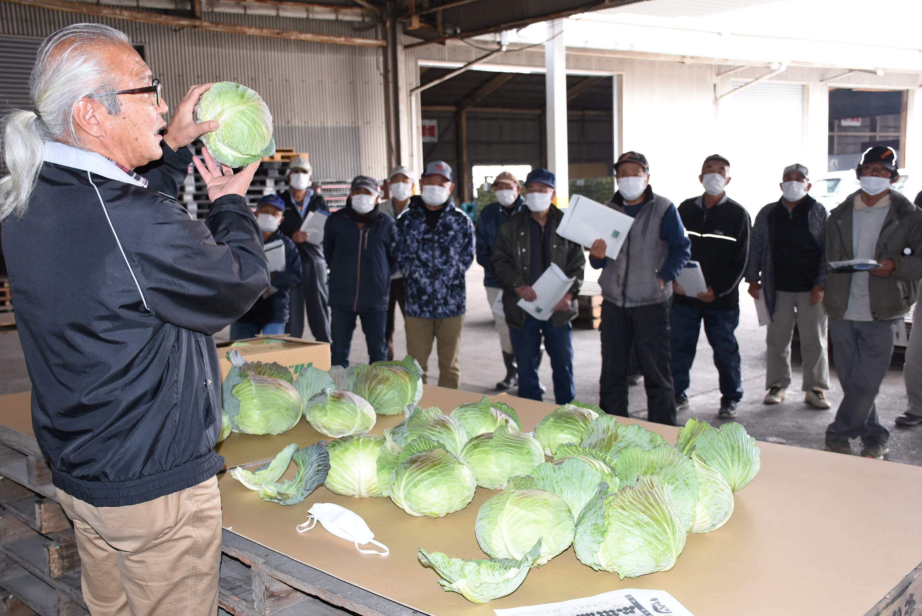 年明けキャベツの出荷規格を確認／ＪＡあいち知多大府露地野菜協議会